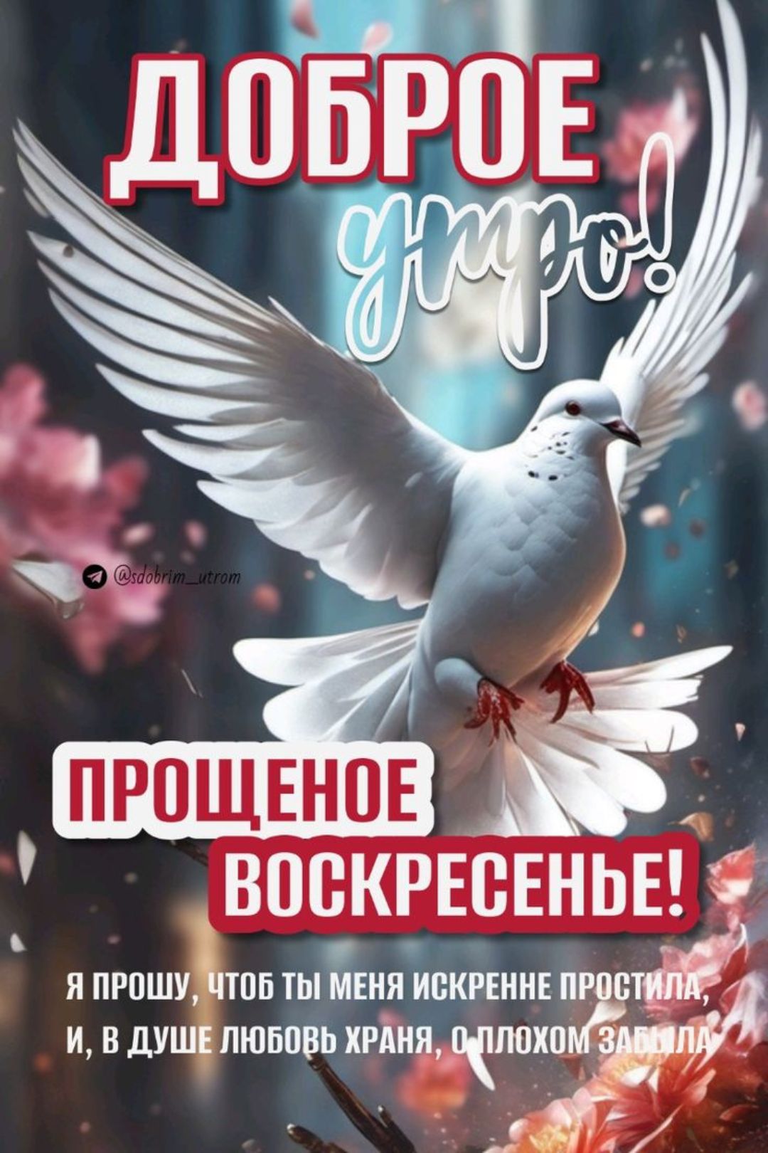 Открытка в Прощенное Воскресенье