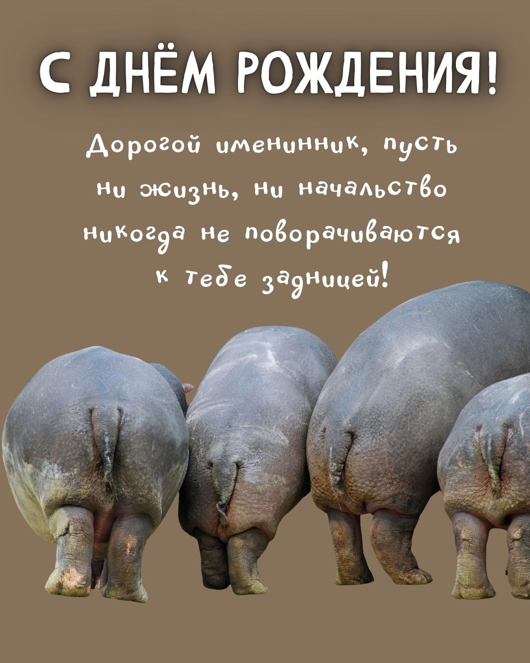 Прикольная юморная открытка с днем рождения мужчине