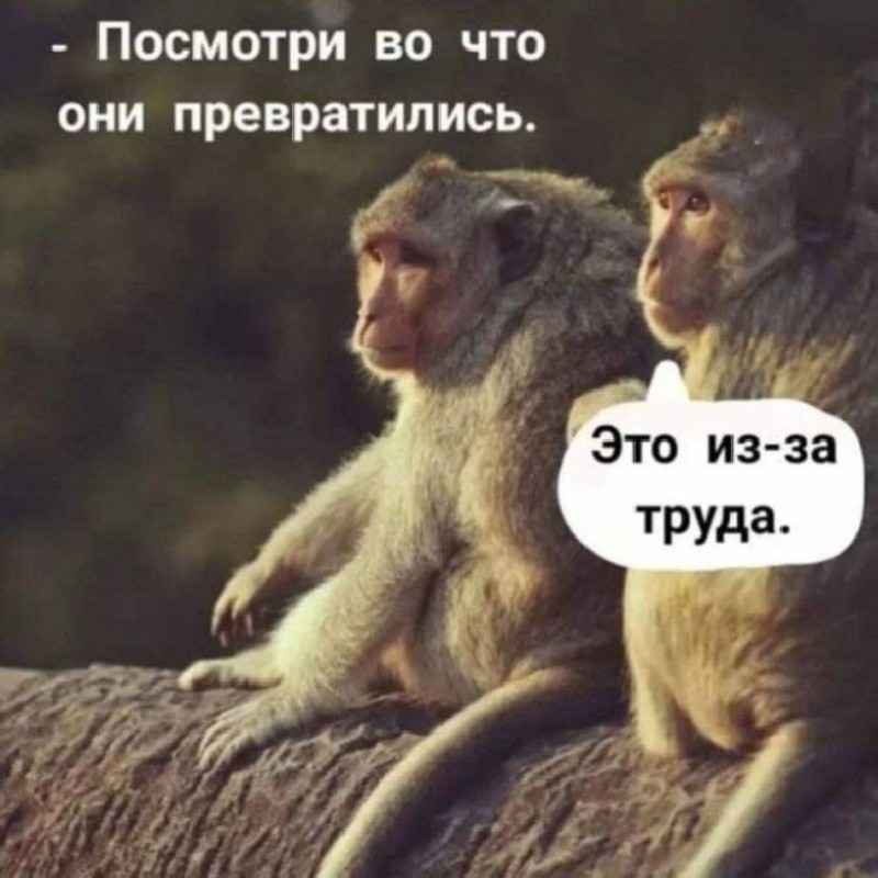 Картинки и мемы про людей